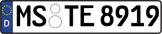 MS-TE8919
