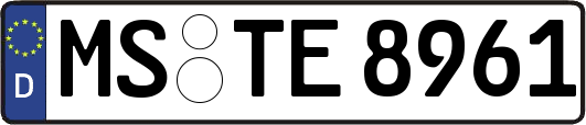 MS-TE8961