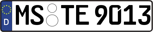 MS-TE9013