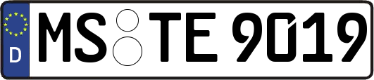 MS-TE9019