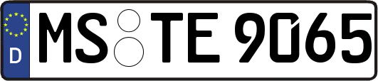 MS-TE9065