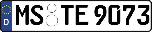 MS-TE9073