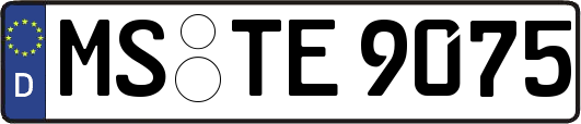 MS-TE9075