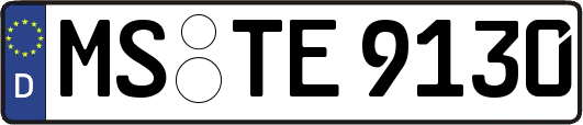 MS-TE9130