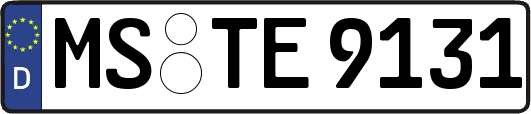 MS-TE9131