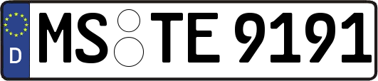 MS-TE9191