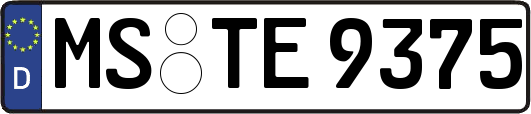 MS-TE9375