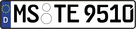 MS-TE9510