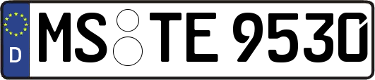 MS-TE9530