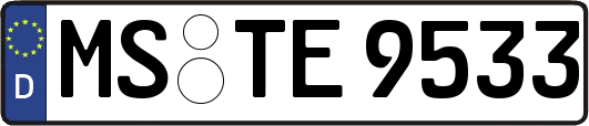 MS-TE9533