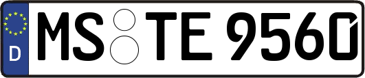 MS-TE9560