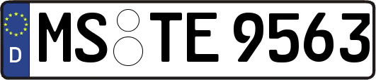 MS-TE9563