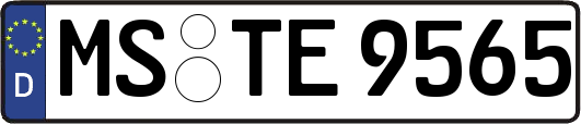 MS-TE9565