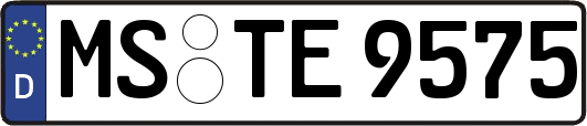 MS-TE9575