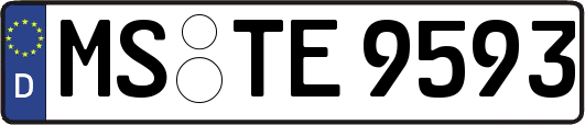 MS-TE9593