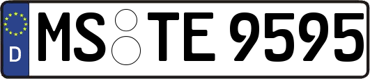 MS-TE9595