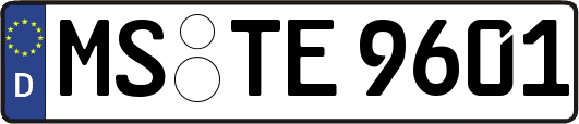 MS-TE9601