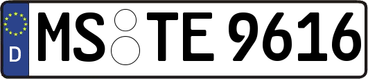 MS-TE9616
