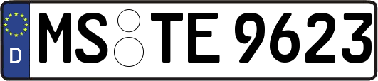 MS-TE9623