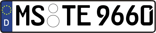 MS-TE9660