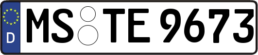 MS-TE9673