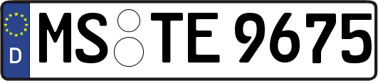 MS-TE9675