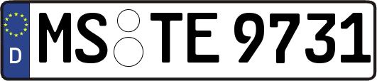 MS-TE9731