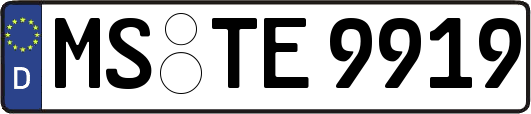 MS-TE9919