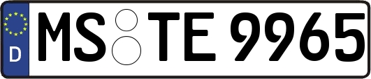 MS-TE9965