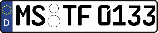 MS-TF0133