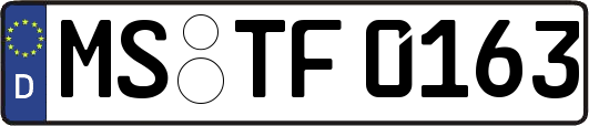 MS-TF0163