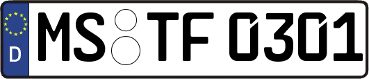 MS-TF0301