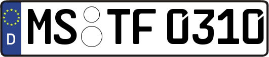 MS-TF0310