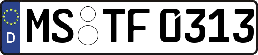 MS-TF0313