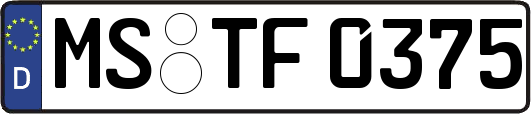 MS-TF0375
