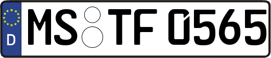 MS-TF0565