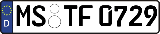 MS-TF0729