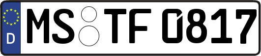 MS-TF0817