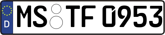 MS-TF0953
