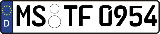 MS-TF0954