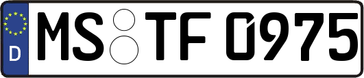MS-TF0975