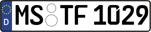 MS-TF1029