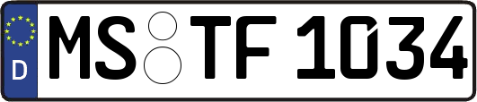 MS-TF1034