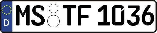 MS-TF1036