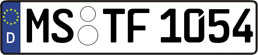 MS-TF1054