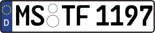 MS-TF1197