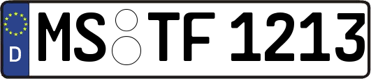 MS-TF1213