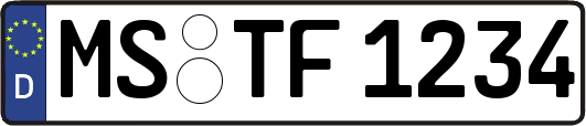 MS-TF1234
