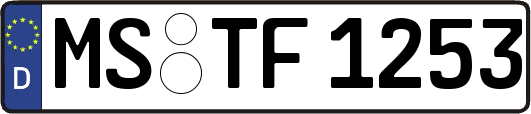 MS-TF1253