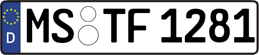 MS-TF1281